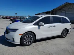 5FNRL6H66RB012355 2024 HONDA ODYSSEY