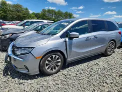 5FNRL6H66RB016101 2024 HONDA ODYSSEY