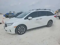 5FNRL6H66RB016499 2024 HONDA ODYSSEY