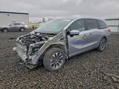 5FNRL6H66RB023680 2024 HONDA ODYSSEY