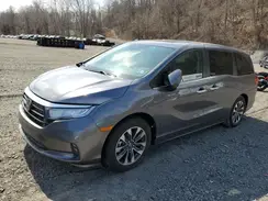 5FNRL6H66RB039099 2024 HONDA ODYSSEY