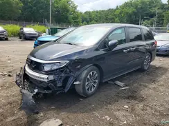 5FNRL6H66RB040995 2024 HONDA ODYSSEY