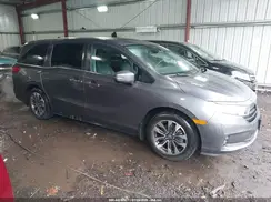 5FNRL6H66RB042004 2024 HONDA ODYSSEY