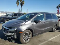 5FNRL6H66RB044254 2024 HONDA ODYSSEY
