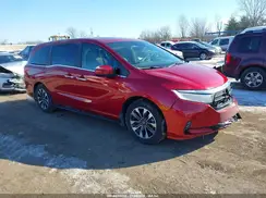 5FNRL6H66RB045341 2024 HONDA ODYSSEY