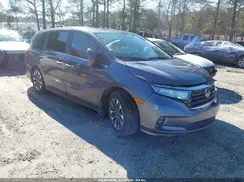 5FNRL6H66RB046599 2024 HONDA ODYSSEY