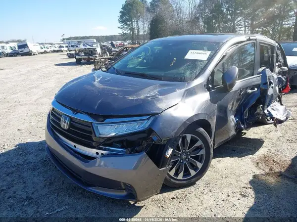 5FNRL6H66RB046599 2024 HONDA ODYSSEY - Image 2