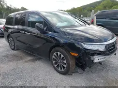 5FNRL6H66RB050216 2024 HONDA ODYSSEY