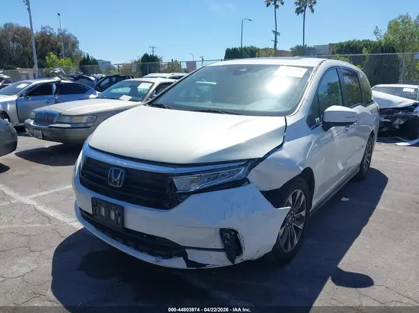 5FNRL6H66RB051558 2024 HONDA ODYSSEY - Image 2