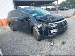 5FNRL6H66RB052127 2024 HONDA ODYSSEY