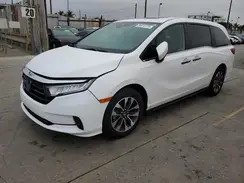 5FNRL6H66RB052595 2024 HONDA ODYSSEY