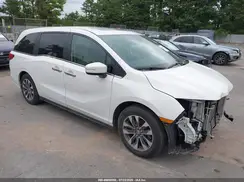 5FNRL6H66RB059837 2024 HONDA ODYSSEY