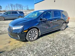 5FNRL6H66RB060129 2024 HONDA ODYSSEY