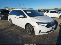 5FNRL6H66RB060180 2024 HONDA ODYSSEY