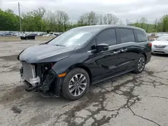 5FNRL6H66RB062866 2024 HONDA ODYSSEY