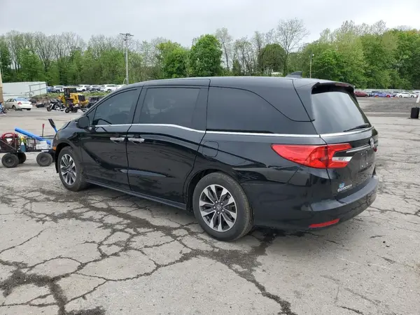 5FNRL6H66RB062866 2024 HONDA ODYSSEY - Image 2