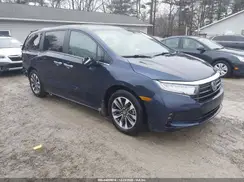 5FNRL6H66RB067646 2024 HONDA ODYSSEY