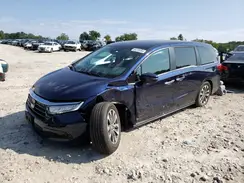 5FNRL6H66RB070093 2024 HONDA ODYSSEY