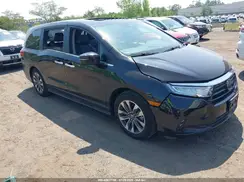 5FNRL6H66RB072426 2024 HONDA ODYSSEY