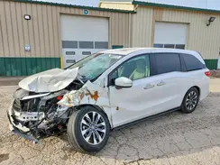 5FNRL6H66RB073186 2024 HONDA ODYSSEY