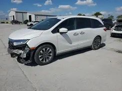 5FNRL6H66RB076007 2024 HONDA ODYSSEY