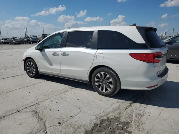 5FNRL6H66RB076007 2024 HONDA ODYSSEY - Image 2