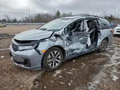 5FNRL6H66SB021787 2025 HONDA ODYSSEY