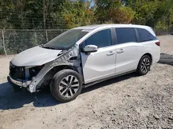 5FNRL6H66SB039156 2025 HONDA ODYSSEY