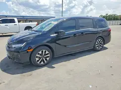 5FNRL6H66TB030670 2026 HONDA ODYSSEY