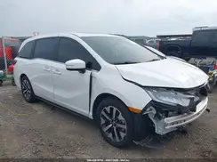 5FNRL6H66TB032564 2026 HONDA ODYSSEY