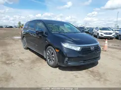 5FNRL6H67NB504533 2022 HONDA ODYSSEY