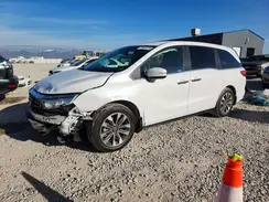 5FNRL6H67PB015097 2023 HONDA ODYSSEY