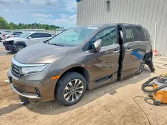 5FNRL6H67PB016993 2023 HONDA ODYSSEY