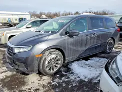 5FNRL6H67PB025774 2023 HONDA ODYSSEY