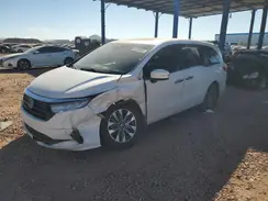 5FNRL6H67PB031204 2023 HONDA ODYSSEY