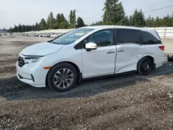 5FNRL6H67PB039903 2023 HONDA ODYSSEY