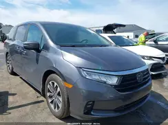 5FNRL6H67PB067555 2023 HONDA ODYSSEY