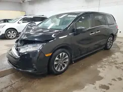 5FNRL6H67PB076059 2023 HONDA ODYSSEY