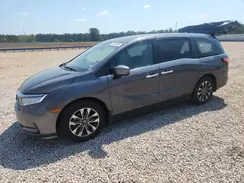 5FNRL6H67PB078359 2023 HONDA ODYSSEY