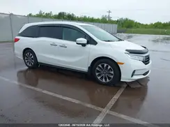 5FNRL6H67PB502381 2023 HONDA ODYSSEY