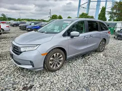 5FNRL6H67RB002076 2024 HONDA ODYSSEY