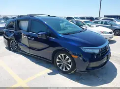 5FNRL6H67RB036891 2024 HONDA ODYSSEY