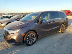 5FNRL6H67RB037278 2024 HONDA ODYSSEY