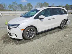 5FNRL6H67RB039886 2024 HONDA ODYSSEY