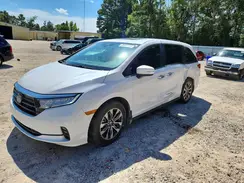 5FNRL6H67RB040553 2024 HONDA ODYSSEY
