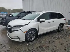 5FNRL6H67RB051598 2024 HONDA ODYSSEY