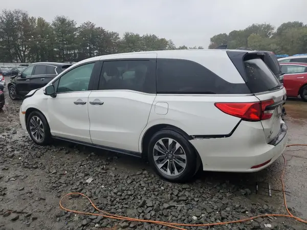 5FNRL6H67RB051598 2024 HONDA ODYSSEY - Image 2