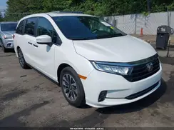 5FNRL6H67RB056610 2024 HONDA ODYSSEY