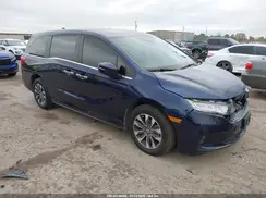 5FNRL6H67RB056672 2024 HONDA ODYSSEY