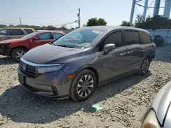 5FNRL6H67RB069552 2024 HONDA ODYSSEY